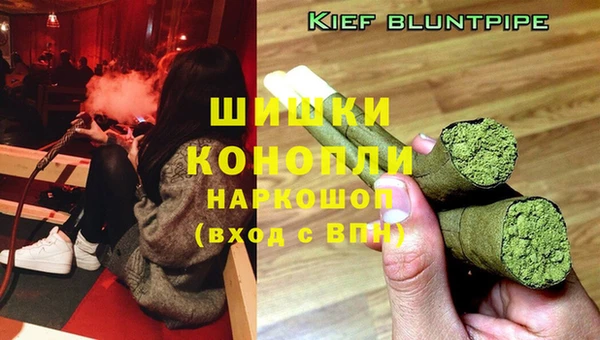 мяу мяу мука Магадан