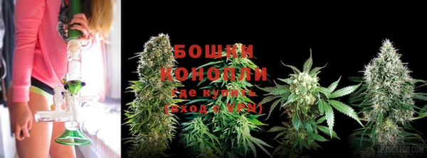 прущая мука Магас
