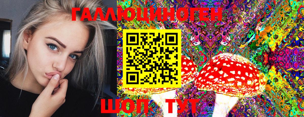 Псилоцибиновые грибы Cubensis Гагарин