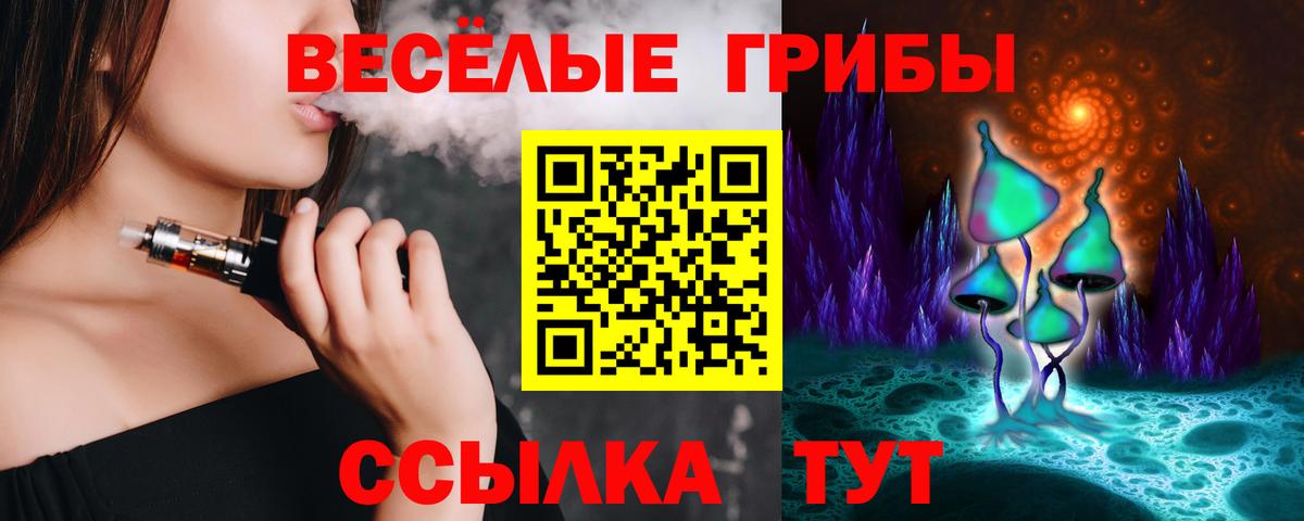 Галлюциногенные грибы Psilocybine cubensis  Гагарин 